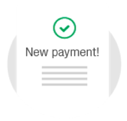 icon new payment